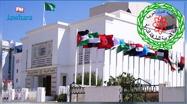 انتخاب التونسي سالم الحامدي رئيسا للهيئة العربية للطاقة الذرية