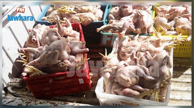 بنزرت : الكشف عن مسلخ عشوائي وحجز 1360 كغ من الدجاج