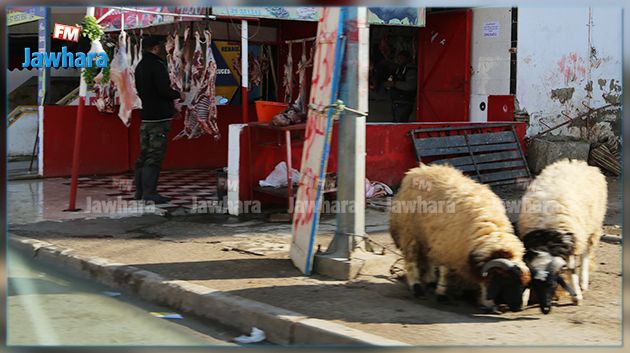 ذبح عشوائي دون مراقبة بيطرية وصحة المواطن في خطر !