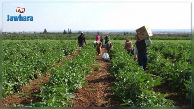 الترفيع في منحة الاستثمار للفلاحين