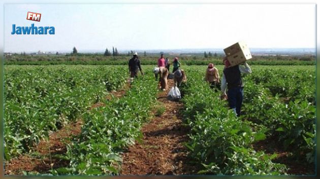 الترفيع في منحة الاستثمار للفلاحين 