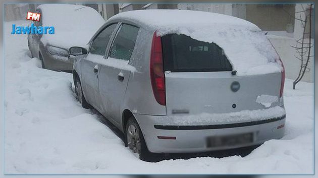 فيصل التبيني ينفي وصول مساعدات للمتضررين من الثلوج في جندوبة