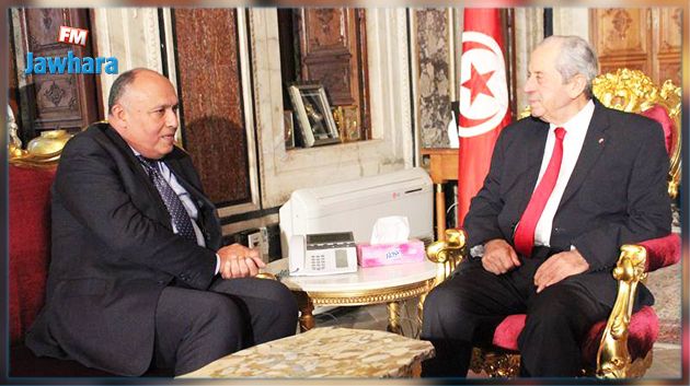 الوضع في ليبيا أبرز محاور لقاء محمد الناصر بوزير خارجية مصر