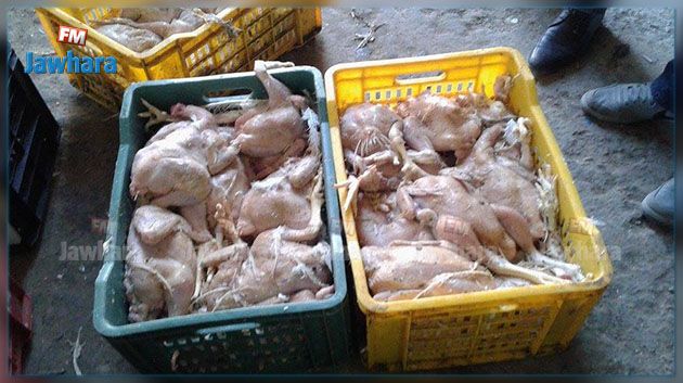  حجز 40 كلغ من لحوم الدجاج الفاسدة في مدرسة إعدادية بالقيروان