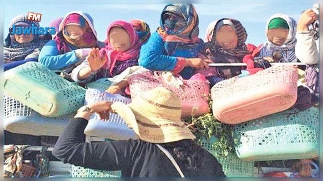 هناك تمييز ضد العاملة التونسية بالمجال الفلاحي