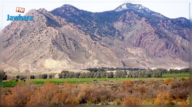 ضبط شخص يعتزم تزويد إرهابيين بمؤونة