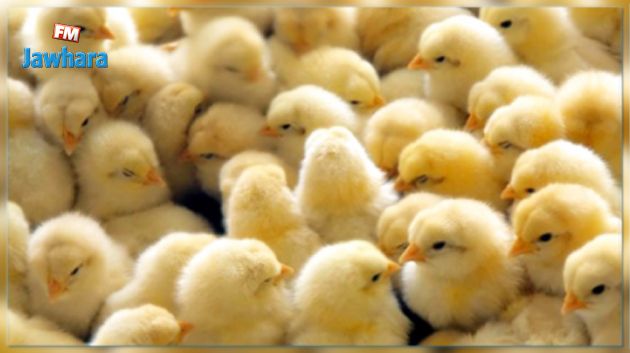 إعدام 10 آلاف