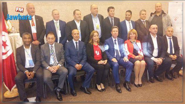 اللجنة الوطنية الأولمبية : توزيع المهام