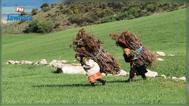 خطة وطنية لفائدة المرأة الريفية