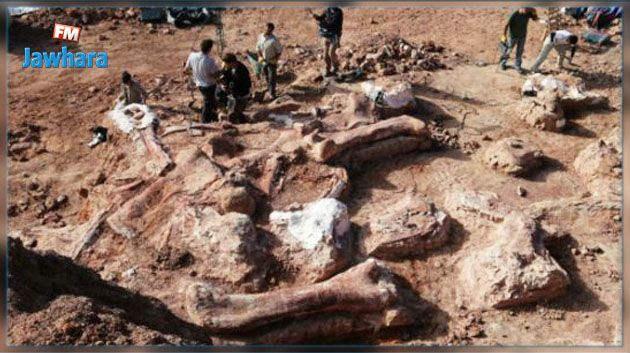 اكتشاف أكبر أثر لديناصور في العالم