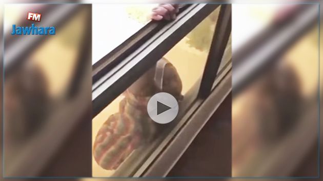 كويتية تصور سقوط خادمتها من الطابق السابع!