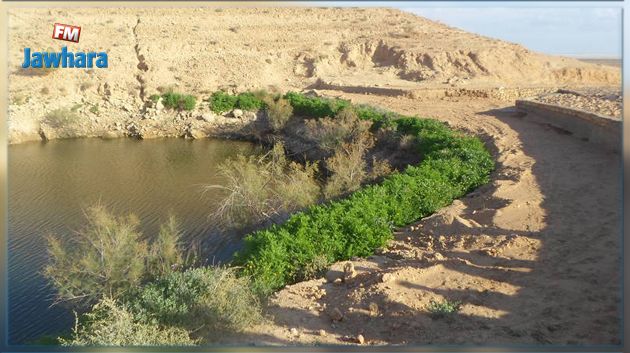 الحديقة الوطنية بدغومس الثانية عالميا من حيث التنوع البيولوجي الصحراوي