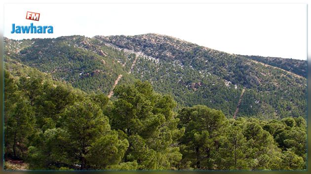 الكاف : إيقاف شابين بشبهة إرهاب