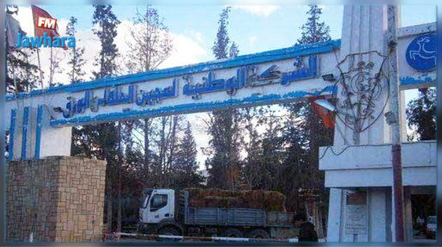 الحكومة تتعهد بإنقاذ شركة عجين الحلفاء والورق بالقصرين