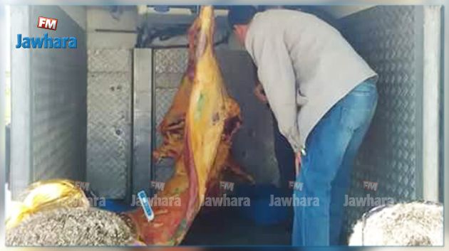 حجز لحوم فاسدة موجّهة للاستهلاك في ثكنة أمنيّة