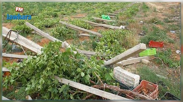 اتحاد الفلاحة يعبر عن رفضه لمشروع جبر أضرار الفلاحين