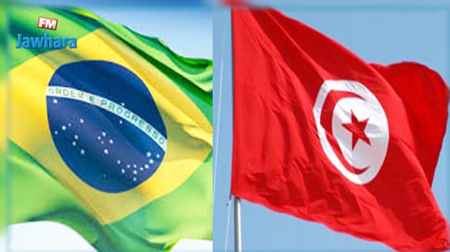 وزير الشؤون الخارجية في زيارة عمل إلى البرازيل