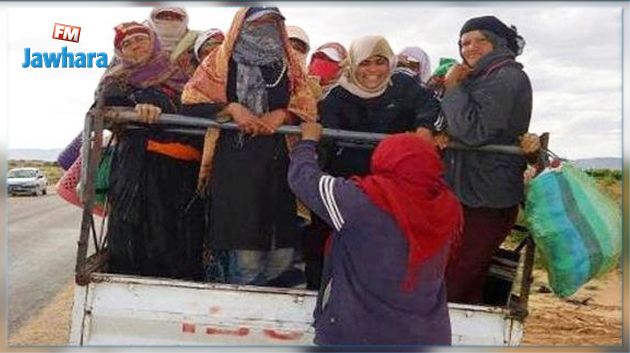 اتحاد الفلاحة يدعو إلى الاسراع بسن التشريعات القانونية لحماية النساء الريفيات