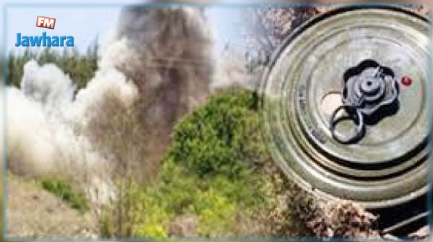  إصابة رائد بالجيش الوطني في انفجار لغم بجبل سمّامة