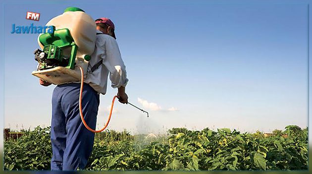 الشاهد : امتيازات غير مسبوقة منحت للفلاحين