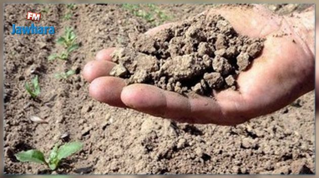  نحو إحداث صندوق لجبر الأضرار الناجمة عن الجوائح الطبيعيّة