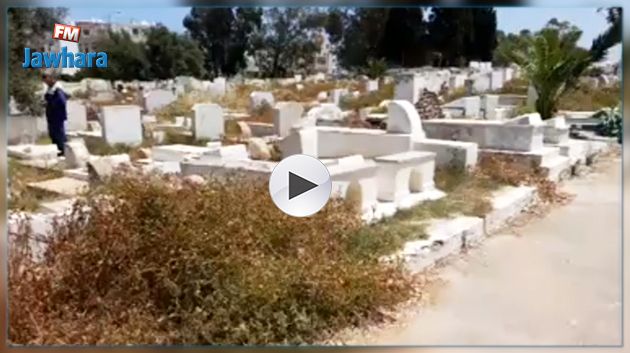 الرادار يرصد الحالة الكارثية لمقبرة سويس