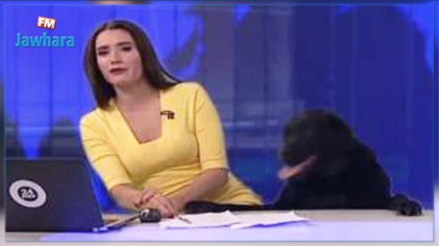 فيديو : كلب يهاجم مقدّمة أخبار على المباشر
