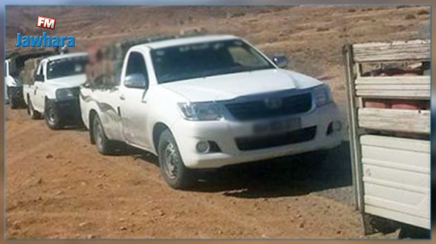 تطاوين : حجز 10 بنادق صيد و 250 ألف شمروخ   