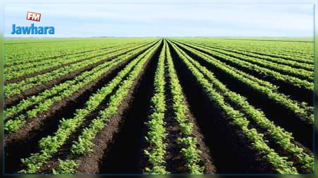 قائمة المقاسم الفلاحية لفائدة خريجي التعليم العالي