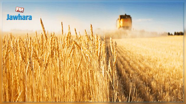 لا حريق بمزارع للحبوب في جندوبة