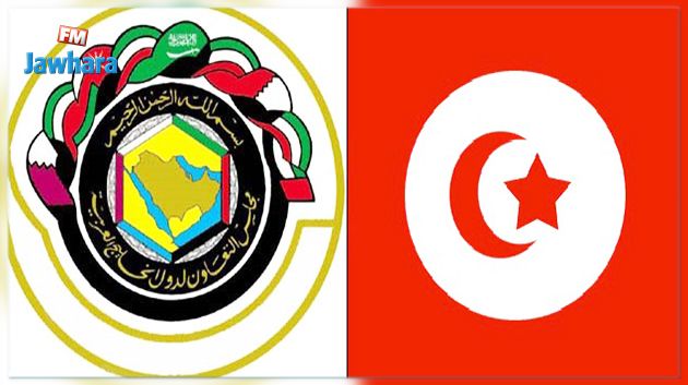 فوزي عبد الرحمان : المستجدّات في الخليج قد تطال القيادة القطرية