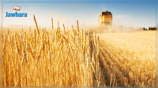 انطلاق موسم الحصاد ببنزرت 