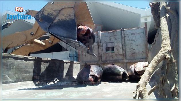 المهدية : إتلاف 102 سمكة تن أحمر