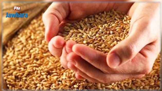 تحديد أسعار بذور الحبوب