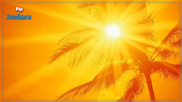 تواصل ارتفاع درجات الحرارة مع ظهور الشهيلي