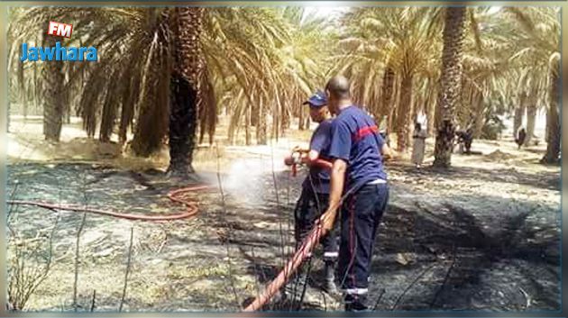 حريق بواحات رجيم معتوق بقبلّي