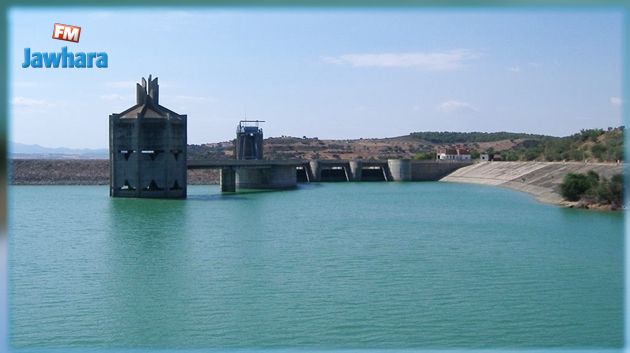 فيصل التبيني : تدمير ممنهج يستهدف الفلاحة التونسية 