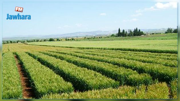 الدّولة تسترجع 26 هكتارا من أراضيها بمعتمديتي الدهماني وبوسالم