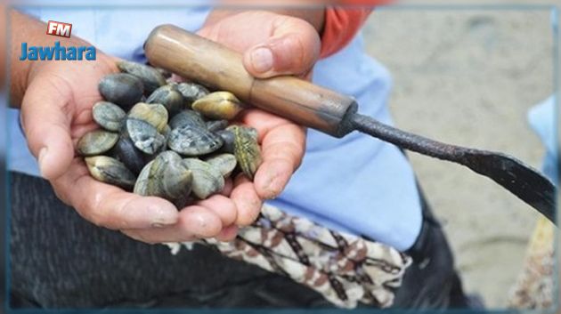 وزارة الفلاحة تحذر من استهلاك 