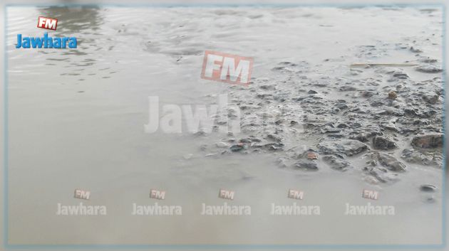 تهاطل أمطار غزيرة في الوسلاتية 