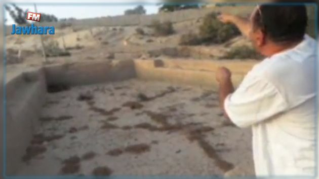 منشآت مائية تشكو من الإهمال في توزر : وزارة الفلاحة تتدخل