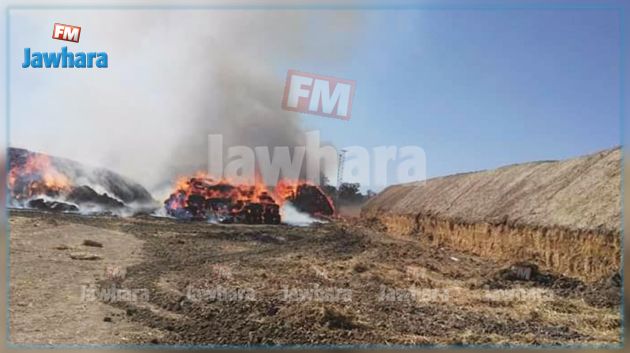 القيروان : حريق بمركب فلاحي يخلّف خسائر فادحة