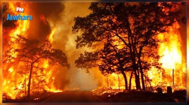 حرائق متفرقة في جندوبة : تشكيل