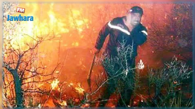 تجنيد 300 عون للسيطرة على حرائق عين دراهم