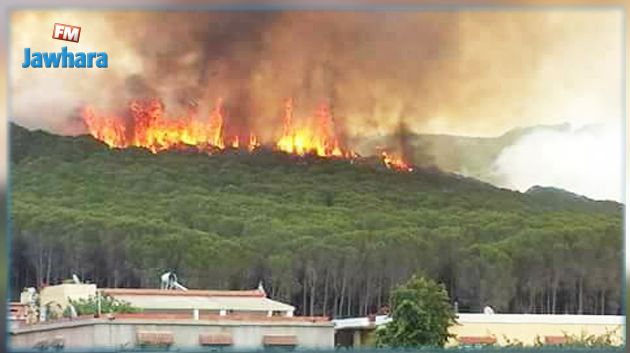 جندوبة : إخماد 10 حرائق واندلاع 4 حرائق جديدة