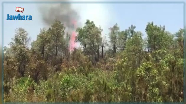  اندلاع حريقين في نفزة