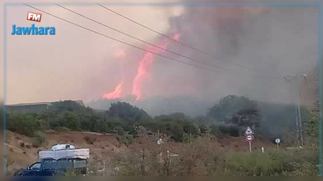 إجلاء 40 فردا من