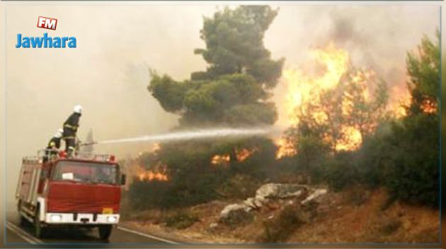 الجزائر : القبض على متورطين في حرائق الغابات