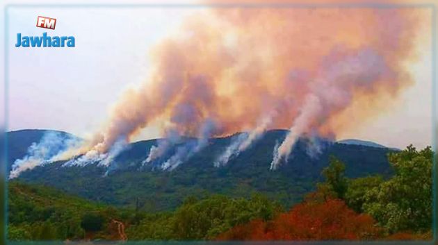 إخماد حريق جبل 