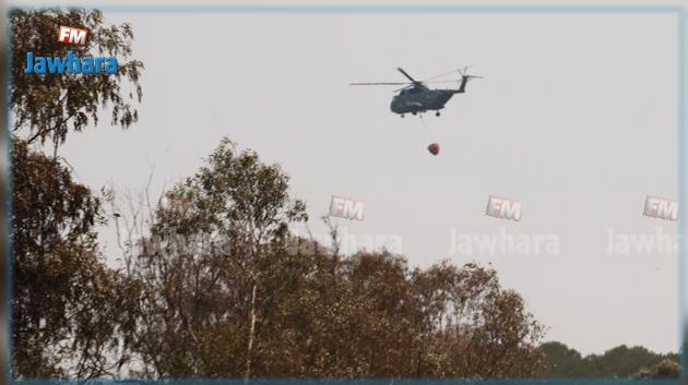 بنزرت : تدخل بالطائرات لإخماد الحرائق